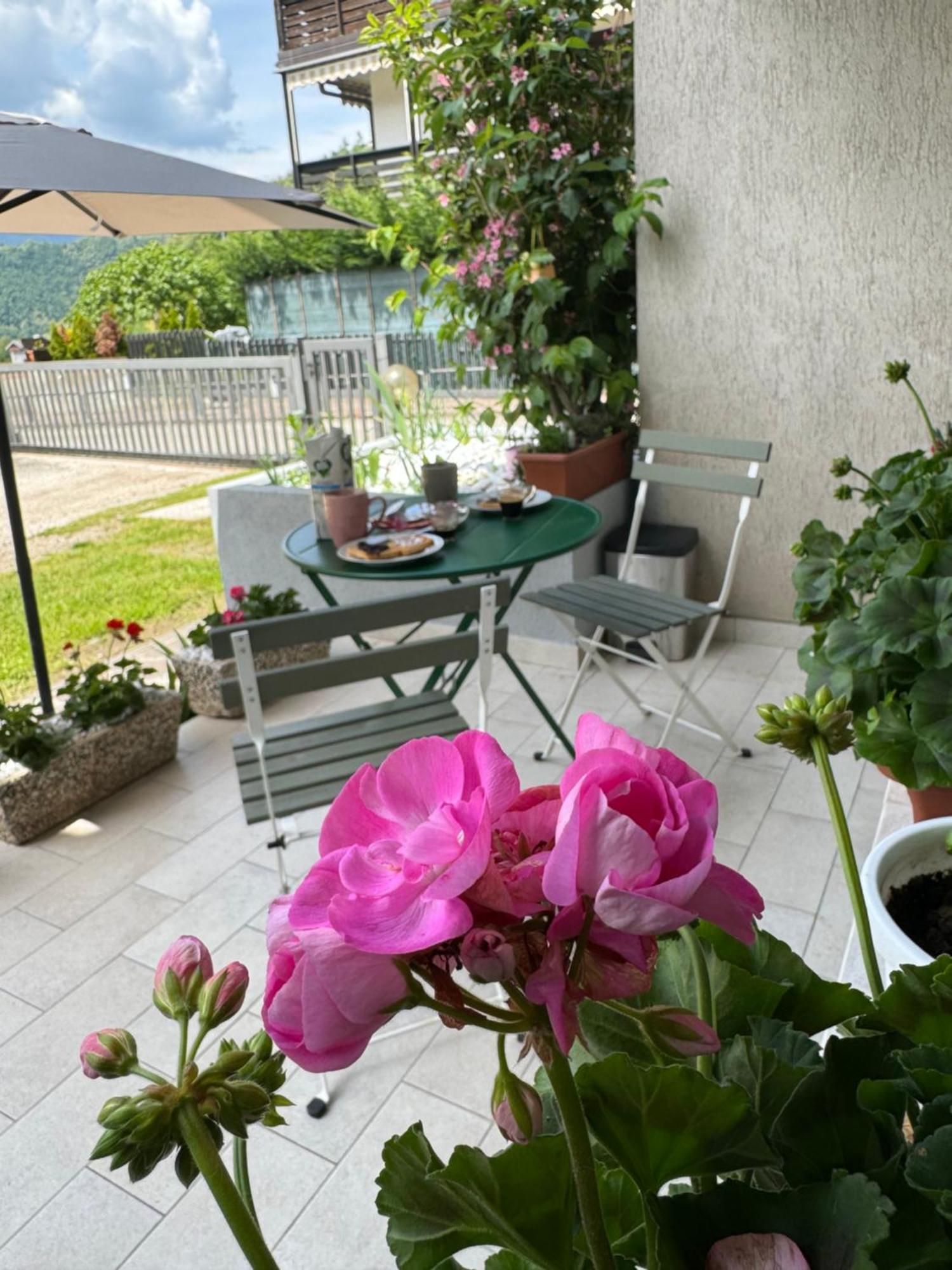 Green House Next - Lovely Apartment For Family And Free Parking 레비코온천 외부 사진